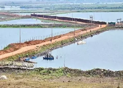 AP: కొల్లేరు ఆక్రమణలపై సర్వే ప్రారంభం