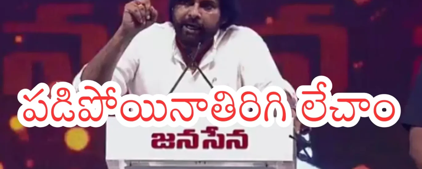 Pawan Kalyan : ఓటమి బాధపెట్టలేదు... అవమానంతో కుంగిపోలేదు