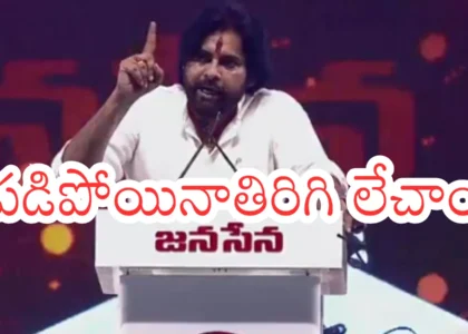 Pawan Kalyan : ఓటమి బాధపెట్టలేదు... అవమానంతో కుంగిపోలేదు