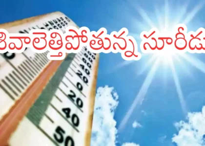 ఎండలతో పోటీగా పెరుగుతున్న వ్యాధులు.. ప్రజలు అప్రమత్తంగా ఉండాల్సిందే