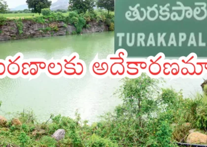 తురకపాలెం మరణాల మిస్టరీ వీడిందా?