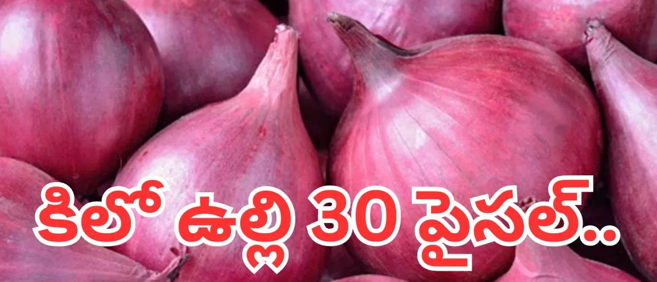 అయ్యో అన్నదాత.. కిలో ఉల్లి 30 పైసల్.. మార్కెట్ చరిత్రలో ఇదే తొలిసారి..