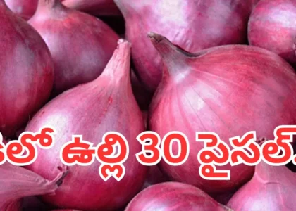 అయ్యో అన్నదాత.. కిలో ఉల్లి 30 పైసల్.. మార్కెట్ చరిత్రలో ఇదే తొలిసారి..
